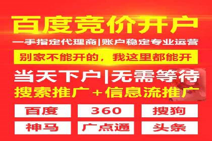 SEM竞价优化策略：成功案例解析